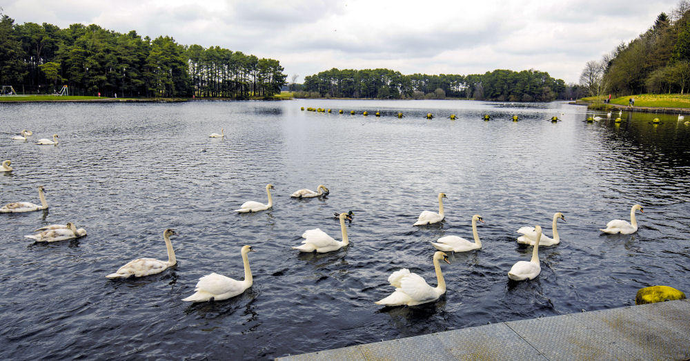 Lanark Loch